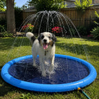 Pet Splash Pad