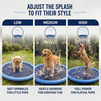 Pet Splash Pad